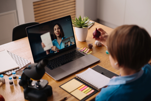 Virtual Classrooms